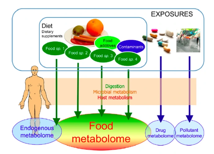 foodmetablome foodmetablome