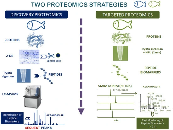 twoproteomicsstrategies twoproteomicsstrategies