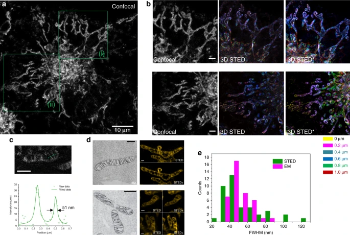 confocalmicroscopyinvaliditingmolecularbiomarkers