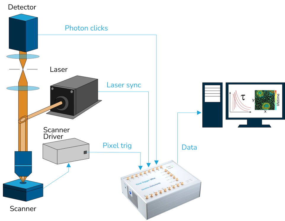operation of a confocal fluorescence microscope, an imaging device used to visualize samples at high resolution.