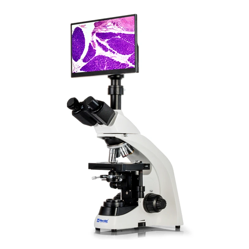 [MSD501+11.6TY] Biological microscope +11.6-inch display screen Wide field plan eyepiece WF10X (Φ20mm)