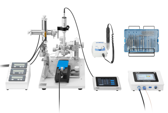 Mouse Anesthesia Adapter with Tubing（＜30g）